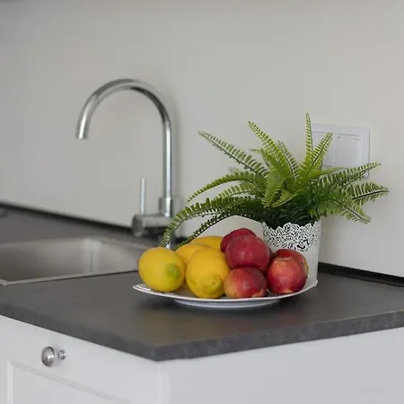 Modern Family With Parking By Renters Apartmán